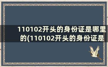 110102开头的身份证是哪里的(110102开头的身份证是哪里的 宣武)